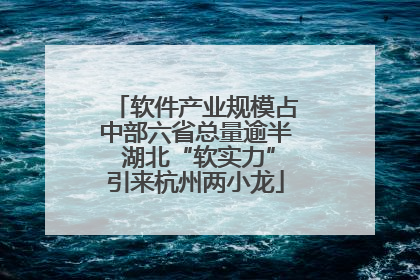 软件产业规模占中部六省总量逾半 湖北“软实力”引来杭州两小龙