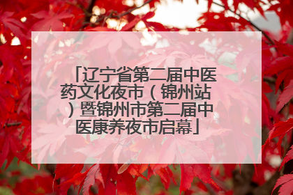 辽宁省第二届中医药文化夜市（锦州站）暨锦州市第二届中医康养夜市启幕