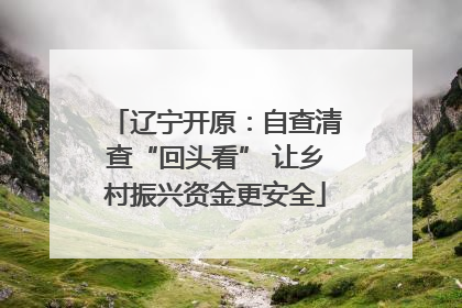 辽宁开原：自查清查“回头看” 让乡村振兴资金更安全