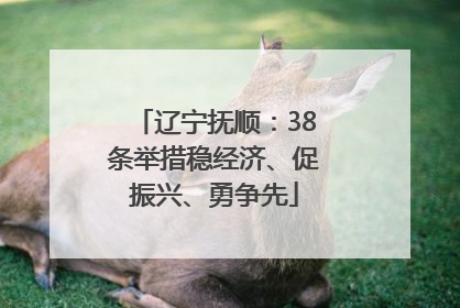 辽宁抚顺：38条举措稳经济、促振兴、勇争先