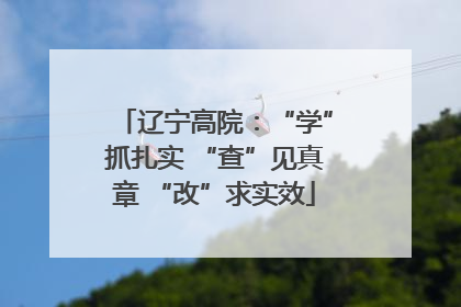 辽宁高院：“学”抓扎实 “查”见真章 “改”求实效