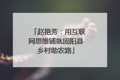 赵艳芳：用互联网思维铺就固阳县乡村助农路