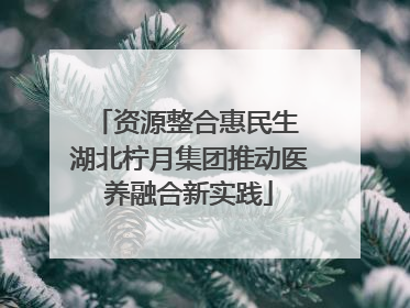资源整合惠民生 湖北柠月集团推动医养融合新实践