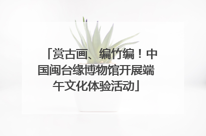 赏古画、编竹编！中国闽台缘博物馆开展端午文化体验活动