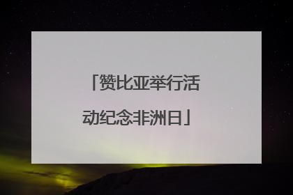 赞比亚举行活动纪念非洲日