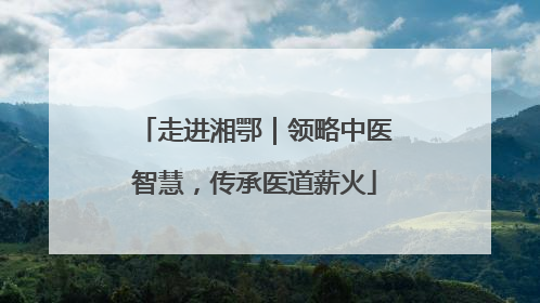 走进湘鄂｜领略中医智慧，传承医道薪火