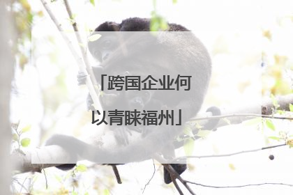 跨国企业何以青睐福州
