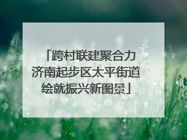 跨村联建聚合力 济南起步区太平街道绘就振兴新图景