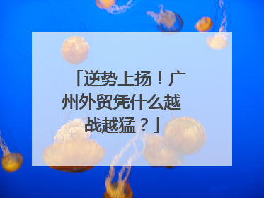 逆势上扬！广州外贸凭什么越战越猛？