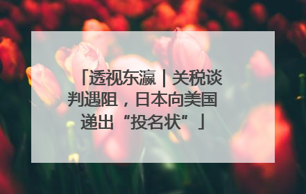 透视东瀛｜关税谈判遇阻，日本向美国递出“投名状”