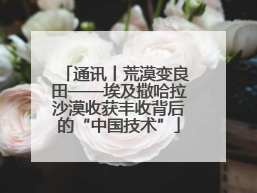 通讯丨荒漠变良田——埃及撒哈拉沙漠收获丰收背后的“中国技术”
