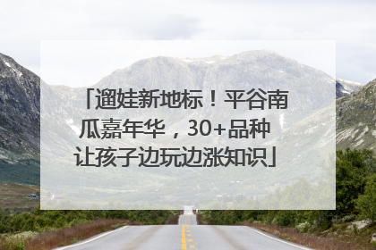 遛娃新地标！平谷南瓜嘉年华，30+品种让孩子边玩边涨知识