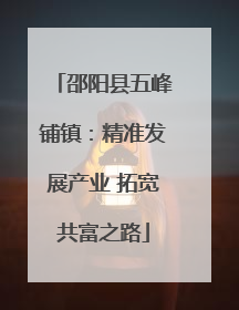 邵阳县五峰铺镇：精准发展产业 拓宽共富之路