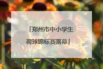 郑州市中小学生荷球锦标赛落幕