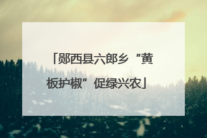郧西县六郎乡“黄板护椒”促绿兴农