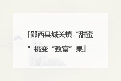 郧西县城关镇“甜蜜”桃变“致富”果