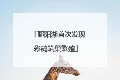 鄱阳湖首次发现彩鹮筑巢繁殖