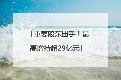 重要股东出手！最高增持超29亿元