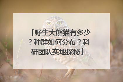野生大熊猫有多少？种群如何分布？科研团队实地探秘