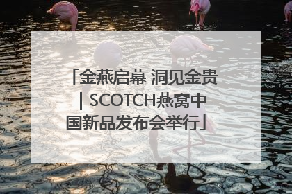 金燕启幕 洞见金贵｜SCOTCH燕窝中国新品发布会举行
