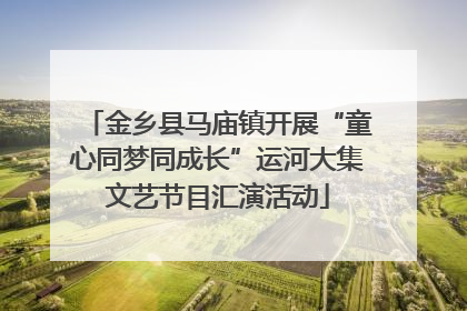 金乡县马庙镇开展“童心同梦同成长”运河大集文艺节目汇演活动