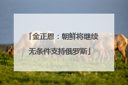 金正恩：朝鲜将继续无条件支持俄罗斯