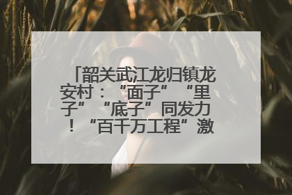 韶关武江龙归镇龙安村：“面子”“里子”“底子”同发力！“百千万工程”激活乡村新动能