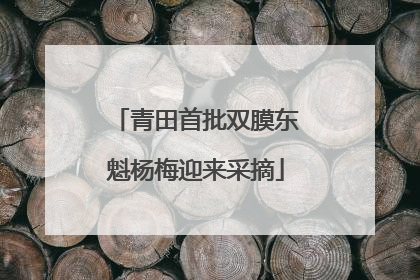 青田首批双膜东魁杨梅迎来采摘