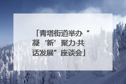 青塔街道举办“凝‘新’聚力·共话发展”座谈会
