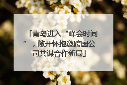 青岛进入“峰会时间”，敞开怀抱邀跨国公司共谋合作新局