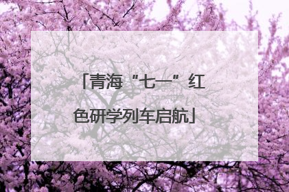 青海“七一”红色研学列车启航