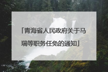 青海省人民政府关于马瑞等职务任免的通知