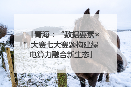 青海：“数据要素×”大赛七大赛题构建绿电算力融合新生态