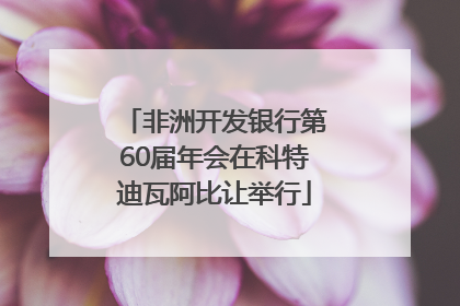 非洲开发银行第60届年会在科特迪瓦阿比让举行