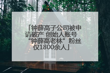 钟薛高子公司被申请破产 创始人账号“钟薛高老林”粉丝仅1800余人