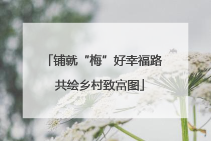 铺就“梅”好幸福路 共绘乡村致富图