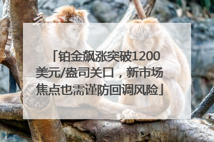 铂金飙涨突破1200美元/盎司关口，新市场焦点也需谨防回调风险