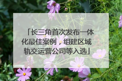 长三角首次发布一体化最佳案例，组建区域轨交运营公司等入选