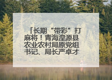 长期“带彩”打麻将！青海湟源县农业农村局原党组书记、局长严卓才被“双开”
