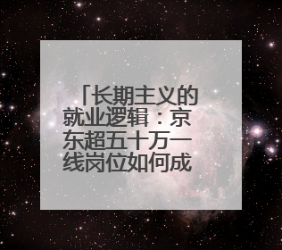 长期主义的就业逻辑：京东超五十万一线岗位如何成为稳就业压舱石