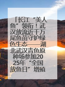 长江“美人鱼”领衔！武汉放流近千万尾鱼苗守护绿色生态——湖北武汉青鱼原种场参加2025年“全国放鱼日”增殖放流活动