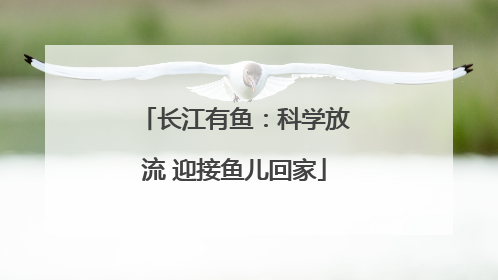 长江有鱼：科学放流 迎接鱼儿回家