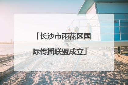 长沙市雨花区国际传播联盟成立