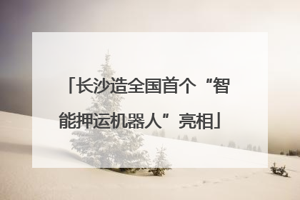 长沙造全国首个“智能押运机器人”亮相