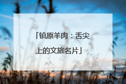 镇原羊肉：舌尖上的文旅名片