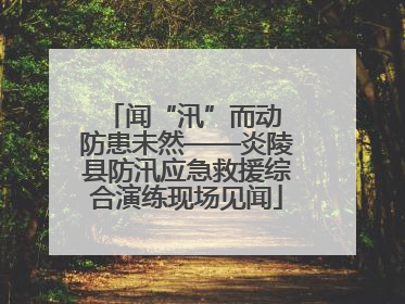闻“汛”而动 防患未然——炎陵县防汛应急救援综合演练现场见闻