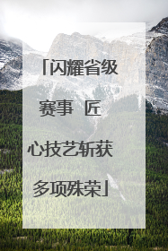 闪耀省级赛事  匠心技艺斩获多项殊荣
