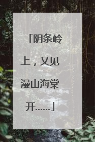 阴条岭上，又见漫山海棠开……