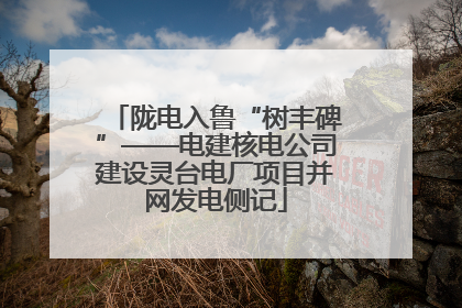 陇电入鲁“树丰碑”——电建核电公司建设灵台电厂项目并网发电侧记