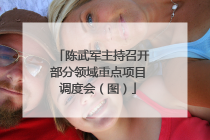 陈武军主持召开部分领域重点项目调度会（图）